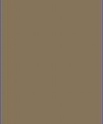 PLAIN DARK BEIGE